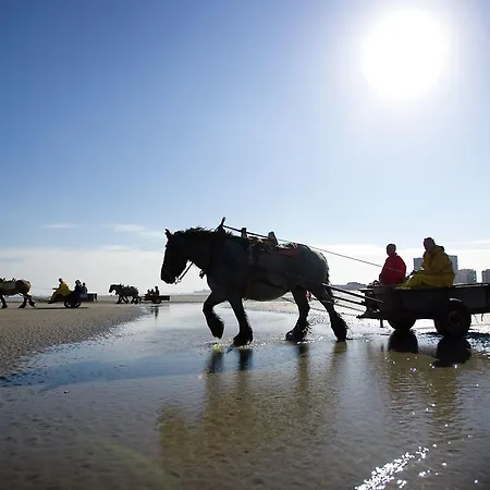 Дом отдыха Horizon Коксейде