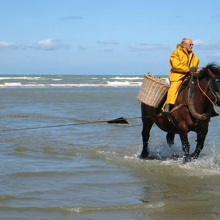 Horizon Koksijde