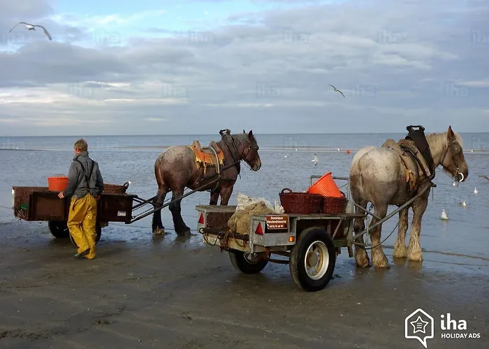 Horizon Holiday home